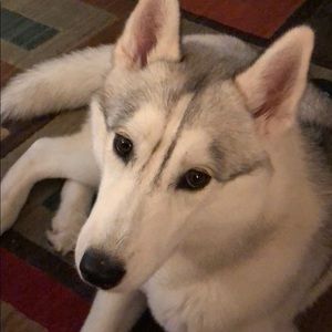 Meet your Posher, Jeff